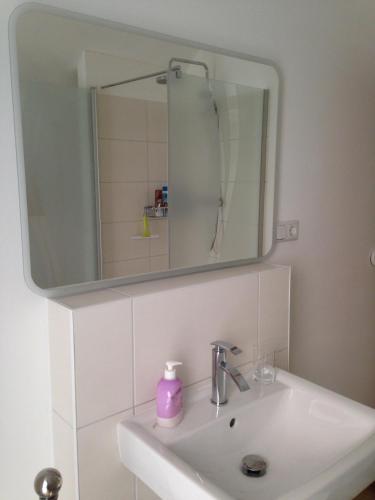 a bathroom with a sink and a mirror at Loreley bed and breakfast in Bornich