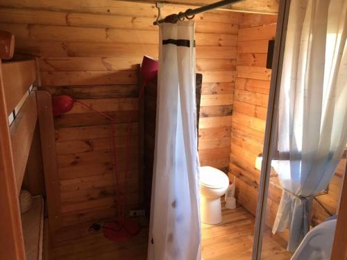 - une salle de bains avec toilettes dans une cabane en rondins dans l'établissement un Chalet avec jardin à 1km de la mer, à Saint-Froult