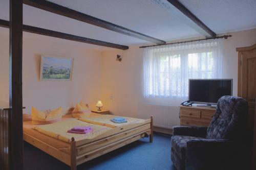 - une chambre avec un lit, une télévision et une chaise dans l'établissement Ferienwohnung Kretzschmar, à Kirnitzschtal