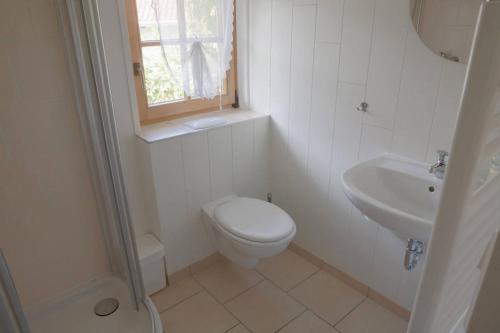 La salle de bains blanche est pourvue de toilettes et d'un lavabo. dans l'établissement Ferienwohnung Kretzschmar, à Kirnitzschtal