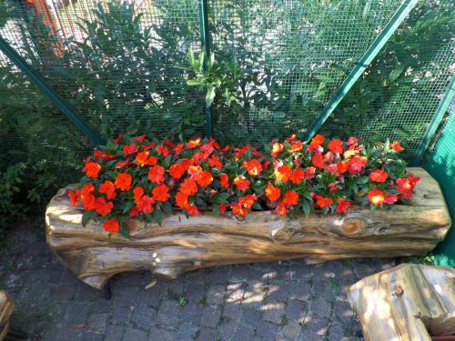 a bunch of red flowers in a wooden planter at B&B Partenza Funivia in Lecco