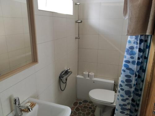 a small bathroom with a toilet and a sink at River Side Studio, 9mi from Palanga, With sauna in Kretinga