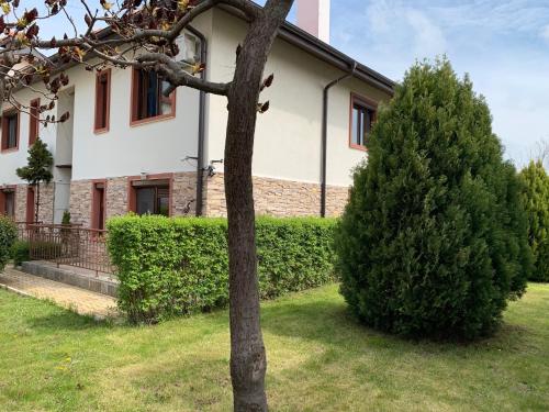 a house with a tree in front of it at PANTELI APART HOUSE in Aheloy