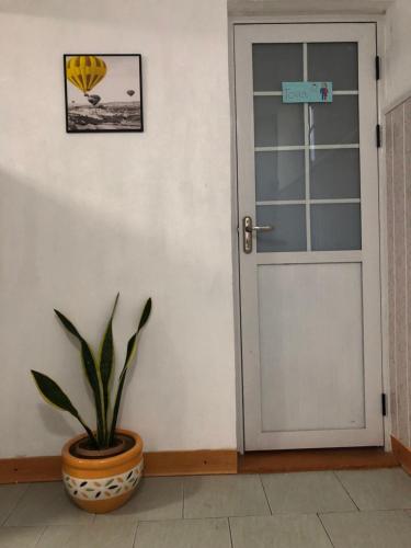 Fotografie z fotogalerie ubytování Lemon House v destinaci Rose Hill