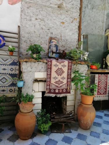 a room with a fireplace with potted plants on it at Guest House Marina in Tbilisi City