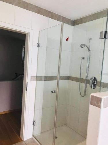 a shower with a glass door in a bathroom at Alpen Panorama view Luxury House with green Garden in Buchs