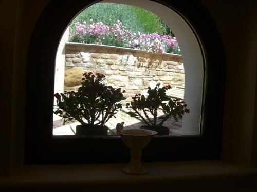 an arched window with two potted plants on a window sill at Agriturismo Pozzuolo in Serrungarina