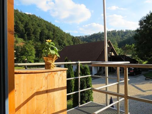 a plant on the balcony of a house at holiday home Kellerwald Edersee National Park in Bad Wildungen