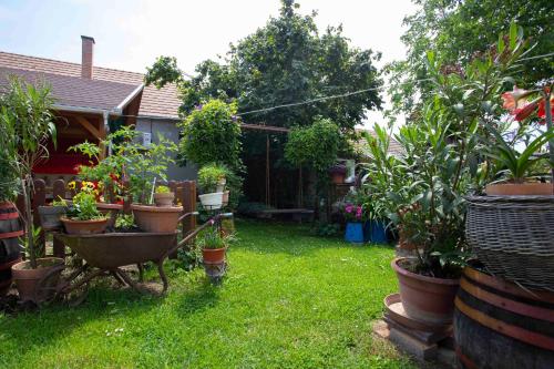 a garden with potted plants in a yard at Szabó Vendégház in Siklós