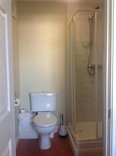 a bathroom with a toilet and a shower at Harbour House in Tullamore