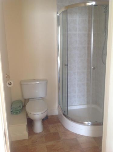 a bathroom with a toilet and a shower at Harbour House in Tullamore