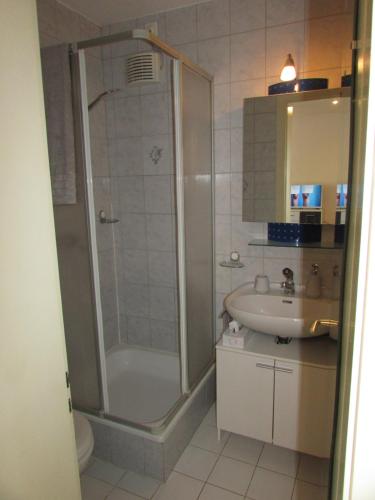 La salle de bains est pourvue d'une douche et d'un lavabo. dans l'établissement Studio à Sion, à Sion