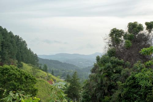 リゾートの近くで見られる自然の景観