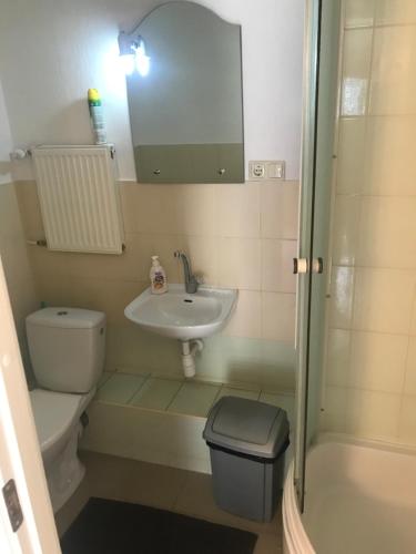 a bathroom with a sink and a toilet and a mirror at Saules Kvartāls in Ventspils