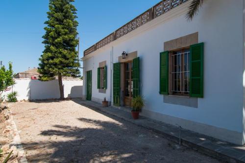 un edificio con persiane verdi e una palma di Villa Valls a Montuiri