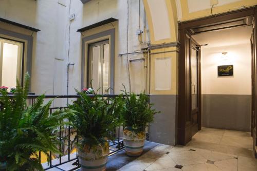 Morelli suite