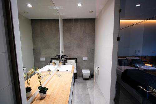 La salle de bains est pourvue d'un lavabo et de toilettes. dans l'établissement Apartamenty 242, à Toruń