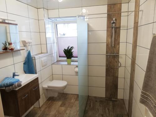 Un baño con inodoro, lavabo y ducha. en Berg & See Appartements, en Hermagor