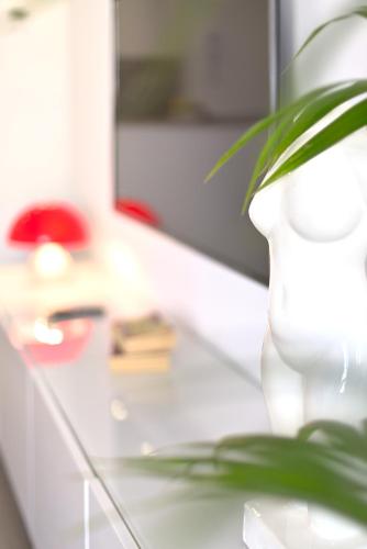Stay In Plaza