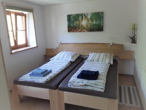 2 camas individuales en una habitación con ventana en BodenSEE Apartment Neukirch Wangener Strasse, en Neukirch