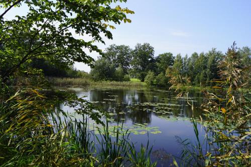 a view of a lake with trees and grass at Nyx & Iris in Zasa