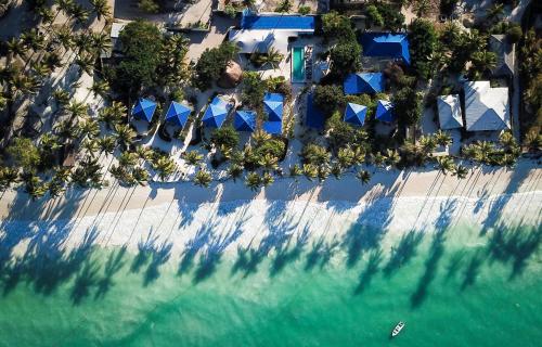 an overhead view of a beach with trees and blue umbrellas at Indigo Beach Zanzibar in Bwejuu