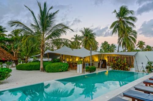 Bazén v ubytování Indigo Beach Zanzibar nebo v jeho okolí