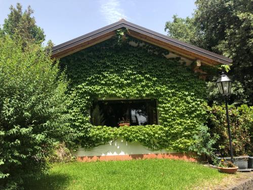 a building covered in ivy with a window at Domus Verdiana in Ragalna
