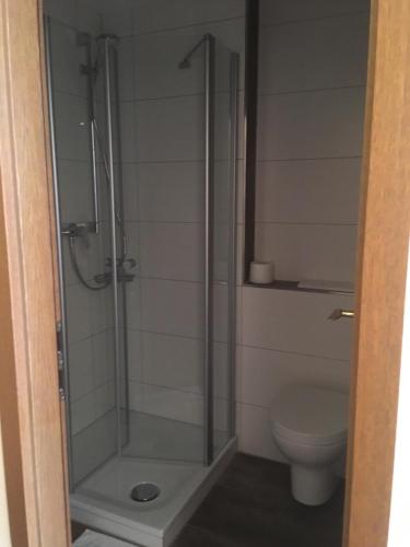 a bathroom with a shower and a toilet at Hotel Hechinger-Hof in Hechingen