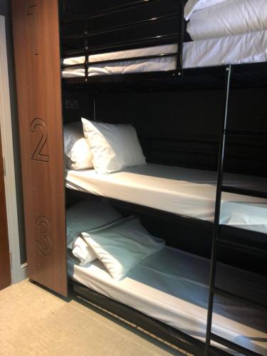 Bed in 6-Bed Mixed Dormitory Room with Shared Bathroom