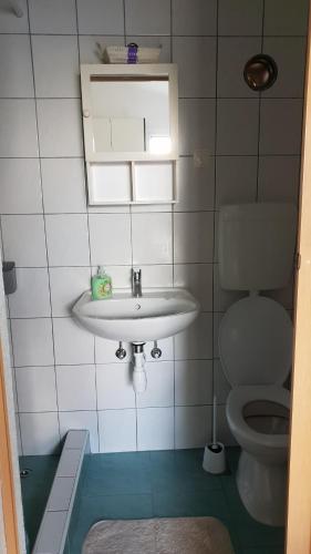 Koupelna v ubytování Apartment Gobov