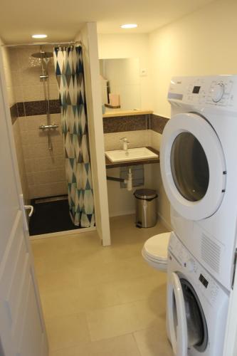y baño con aseo, lavabo y ducha. en Riders Apartments en Le Bourg-dʼOisans
