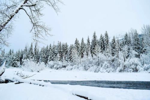 a snow covered field with a river and trees at Brighton #107 - 1 Bath Studio Apartment in Alyeska in Girdwood