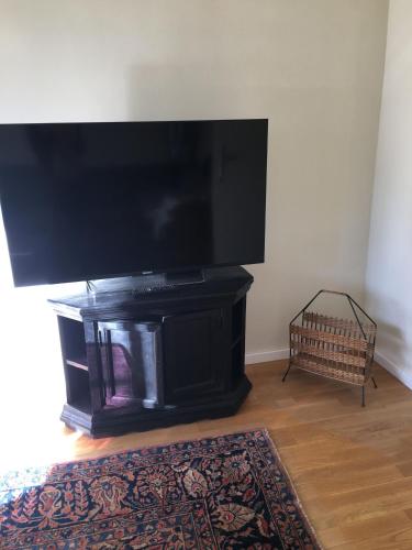 a living room with a large flat screen tv at Anna & Ida in Reichenau