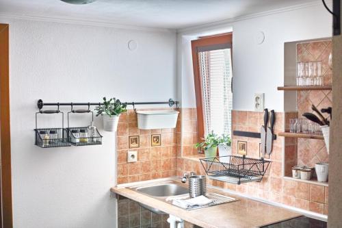 a bathroom with a sink and a counter with plants at u Jaňola in Oščadnica