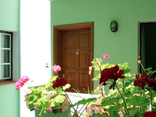 Zahrada ubytování Apartamentos Atlantis