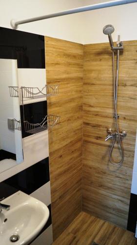 a bathroom with a shower and a sink at Czarna Perła in Ostrowo