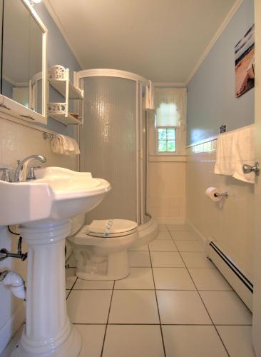 a bathroom with a sink and a toilet and a shower at Sandy Neck Motel in Sandwich