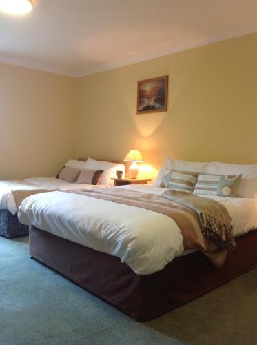 um quarto de hotel com duas camas e um candeeiro em Abbey Hotel em Ballyvourney