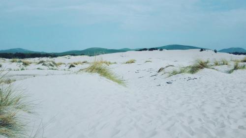 a sand dune with grass in the middle of it at Casa vacanze "Gli Ulivi" Monolocale in Matzaccara