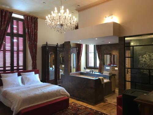 een slaapkamer met een bad, een bed en een wastafel bij Château de la Grange Fort in Issoire