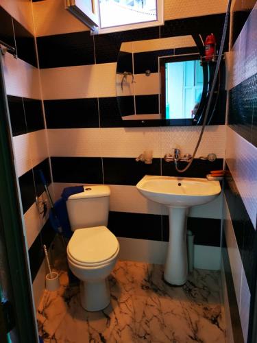 ein Bad mit einem WC und einem Waschbecken in der Unterkunft jaba in Batumi