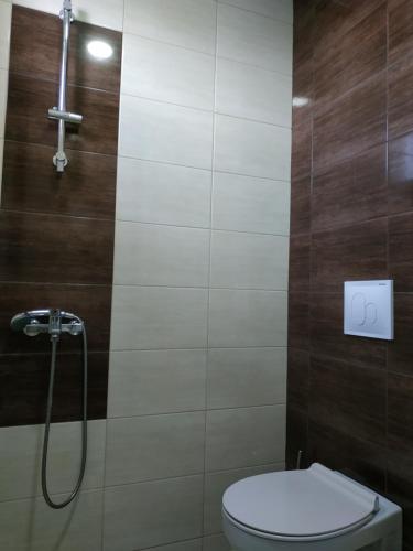 uma casa de banho com um WC e um chuveiro em Apartmani Spasic em Leskovac