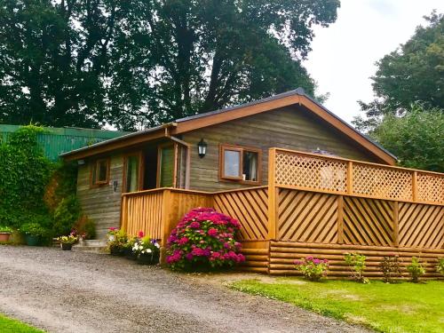 Taman di luar Swansea Log Cabin