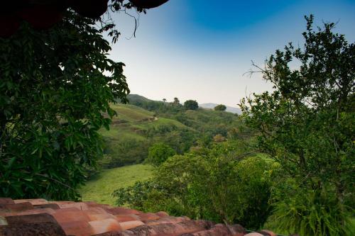 a view of a hill with trees and a field at Casa El Cedro in Charalá