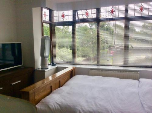 a bedroom with a bed and a tv and windows at Gateway House in Didcot