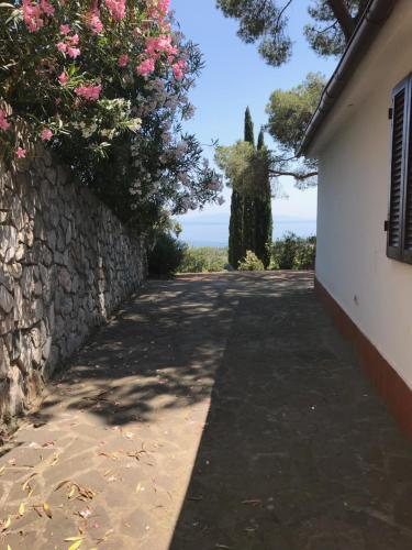 Φυσικό τοπίο κοντά σε αυτή η παραθεριστική κατοικία