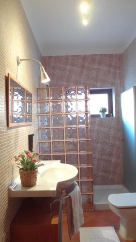 a bathroom with a toilet and a sink and a shower at BLUE HOUSE by Stay in Alentejo in Vila Nova de Milfontes