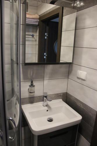 uma casa de banho com um lavatório e um espelho em Apartament Nadmorski Zalewowa 12G em Sztutowo