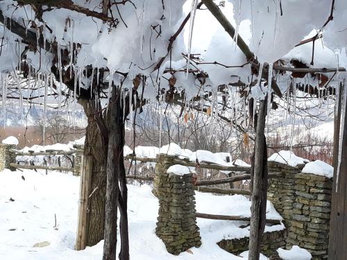 a tree and a stone fence in the snow at Agriturismo Cascina Binelli in Dogliani